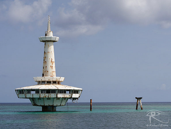 160111_CoralWorldRedux