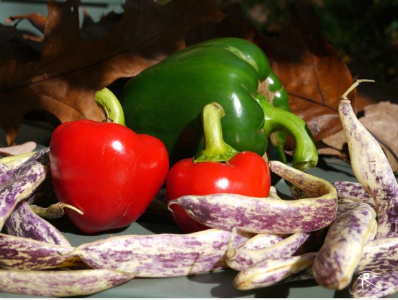 160127_PeppersNBeans