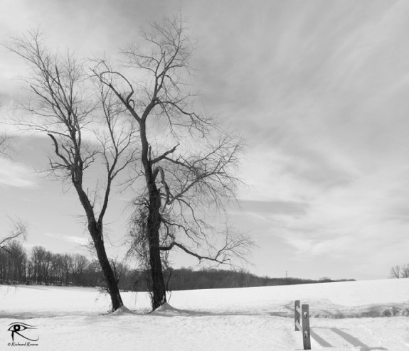 160130Landscape2MonoSmall