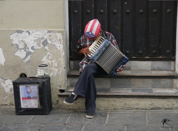 Accordion Player - Richard Reeve