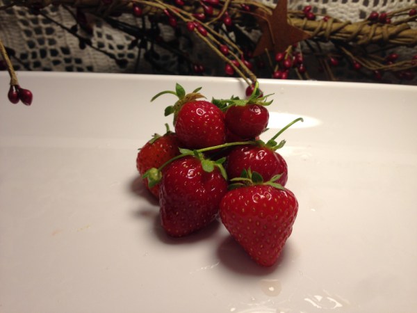 160621_StrawberrySolstice