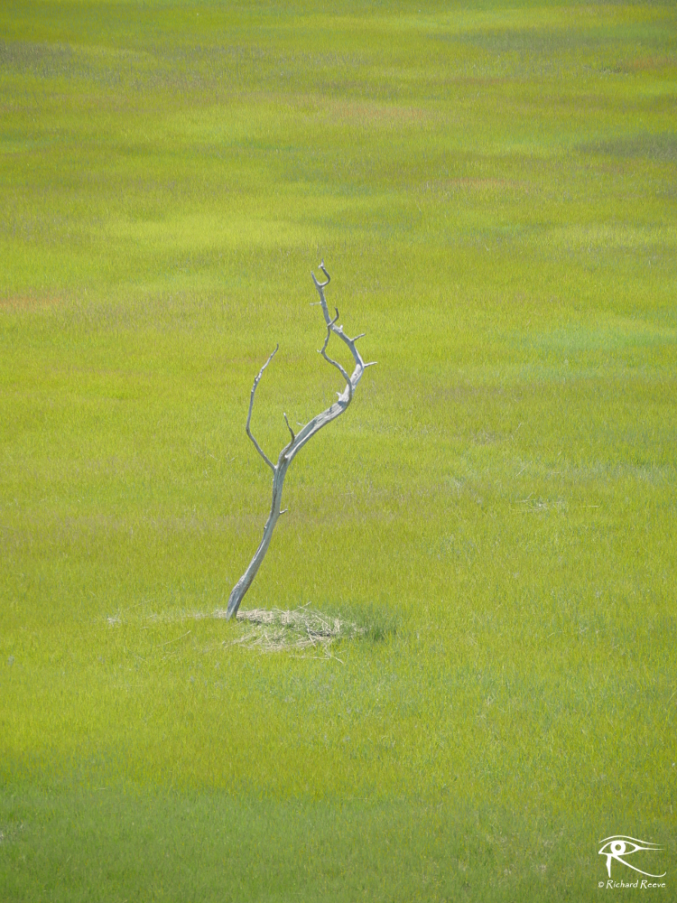 160709_52WK26_Simplify