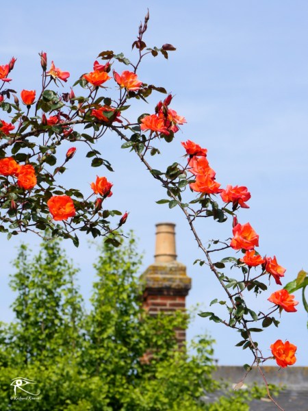 160906_52wk33_collaboration